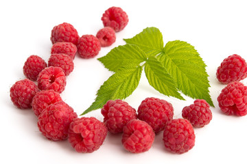 Himbeeren und Himbeerblätter