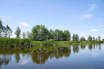 Foto auf Acrylglas Das Ufer eines kleinen Flusses © bisonov