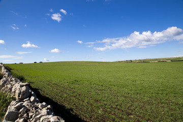 Modica, IT, January 15, 2015: Sicilian countryside typical landscape. The landscape is very similar...
