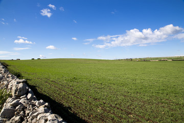 Modica, IT, January 15, 2015: Sicilian countryside typical landscape. The landscape is very similar...