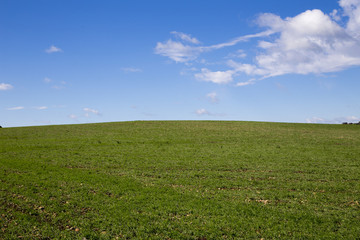 Fototapeta na wymiar Modica, IT, January 15, 2015: Sicilian countryside typical landscape. The landscape is very similar to a famous windows xp wallpaper.