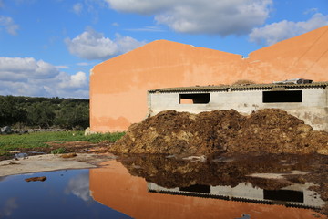 Modica, IT, January 24, 2015: pile of manure in a Sicilian countryside. The mirror effect due to...