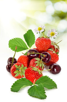 ripe berries closeup