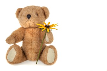 Teddy Bear, Stuffed Animal, Isolated.