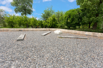 Empty sandstone ground in park with plant