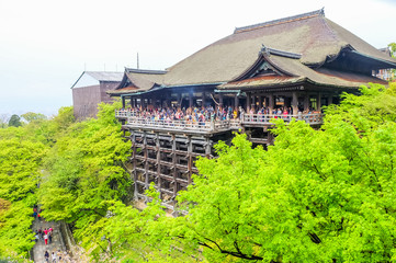 Fototapeta premium kiyomizu Dera Temple in Kyoto