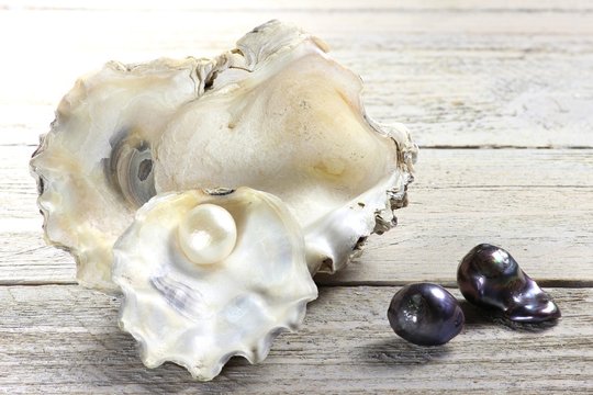 Austernschalen mit Perlen auf Holztisch