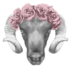 Original drawing of Ram with roses. Isolated on white background