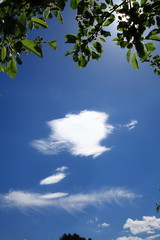 Clouds in blue sky