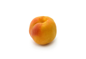 Aprikose