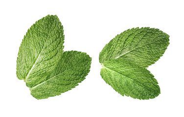 2 double mint leaves composition isolated on white background
