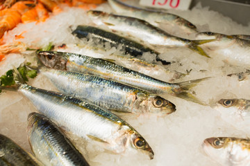 Pile of fish on ice/Fresh seafood - fish on ice