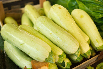 Zucchini/Healthy vegetable ready for selling