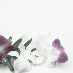 orchids in vintage color style on mulberry paper texture
