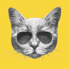 Hand drawn portrait of Cat with sunglasses. Vector isolated elements.