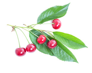 cherries