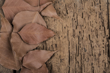 dried autumn leaves on wooden surface