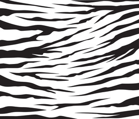 zebra patern background vector illustration design editable - 84949472