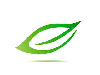leaf symbol icon vector conceptual illustration