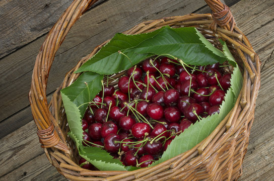 Basket of ripe cherries on a wooden table