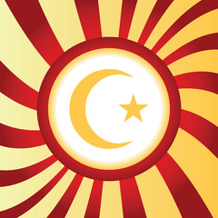 Turkey symbol abstract icon