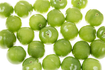 green plums as a background