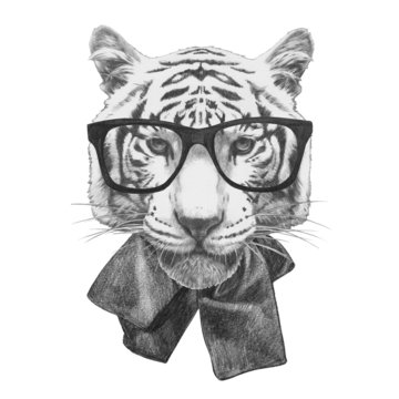 Original drawing of Tiger with glasses. Isolated on white background