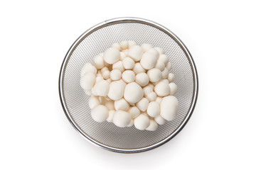 ホワイトぶなしめじ