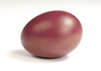 egg isolated on white background