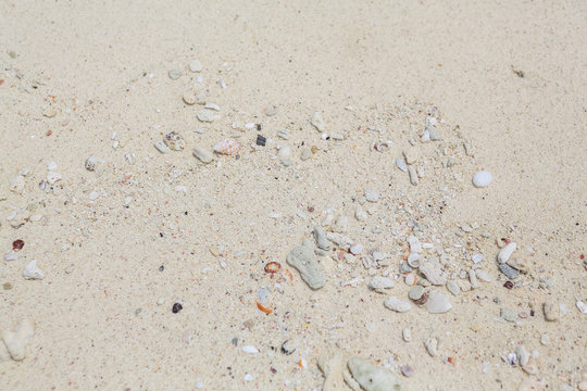 Texture of sand, seashells and stones.