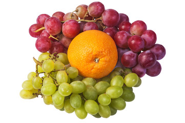 Fruit