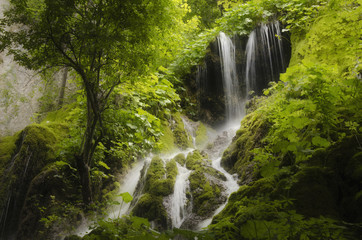 waterfall and dense vegetation in green forest © andreiuc88