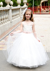 Fototapeta na wymiar Adorable little girl in princess dress