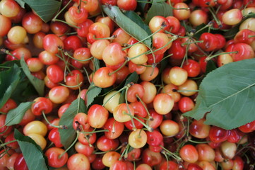 Cherries
