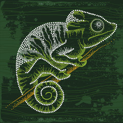 Dotted Chameleon sitting on the branch © bokasana