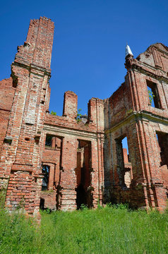 Kłębowiec, ruiny pałacu rodziny Golców