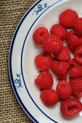 Himbeeren2