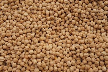 Chickpea
