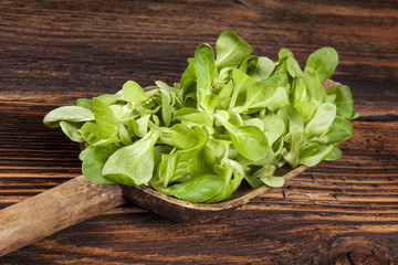 Fresh green lamb's lettuce salad.