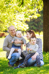 Naklejka na ściany i meble Portrait of mother, father, daughter and son, happy family of four, sitting on the meadow in the park outside on a spring summer bright day
