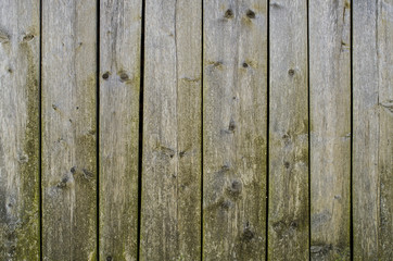 Old wooden background or texture