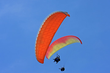 Tandem paragliders