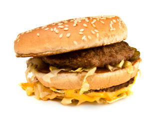 ugly fat sandwich