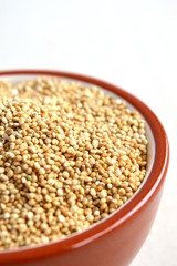 Terracotta Bowl of Raw Quinoa Grains