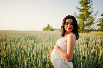 pregnant gorgeous brunette woman on the field with wheat and pop