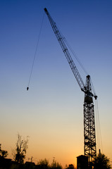 Sunset Crane