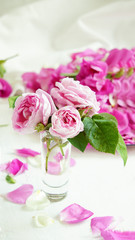 rose bouquet and rose petals on the white background