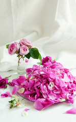 rose bouquet and rose petals on the white background