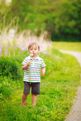 Portrait of a cute adorable little boy toddler standing in the forest field meadow with dandelion flowers in his hands and blowing them on a bright summer day, funny card with copy space for text