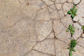 cracked asphalt for background